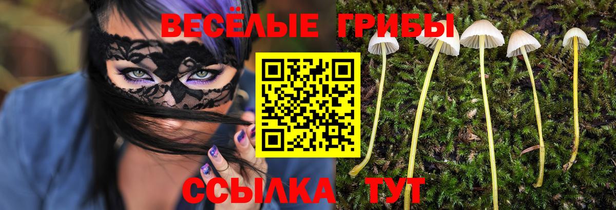 Тара  Галлюциногенные грибы GOLDEN TEACHER  Вход с VPN 