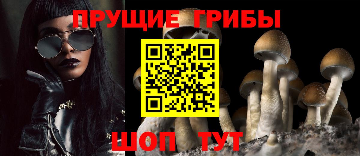 Галлюциногенные грибы Psilocybine cubensis Тара